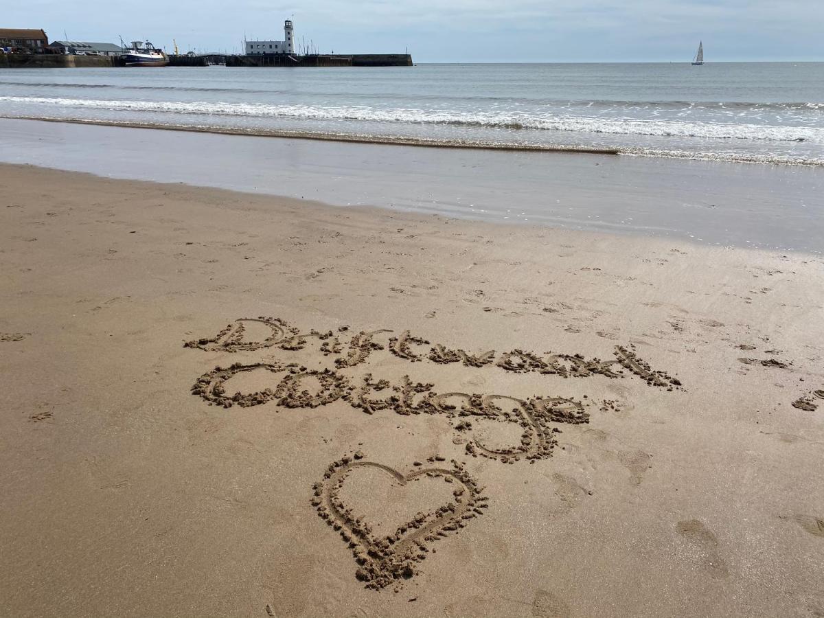 Driftwood Scarborough
