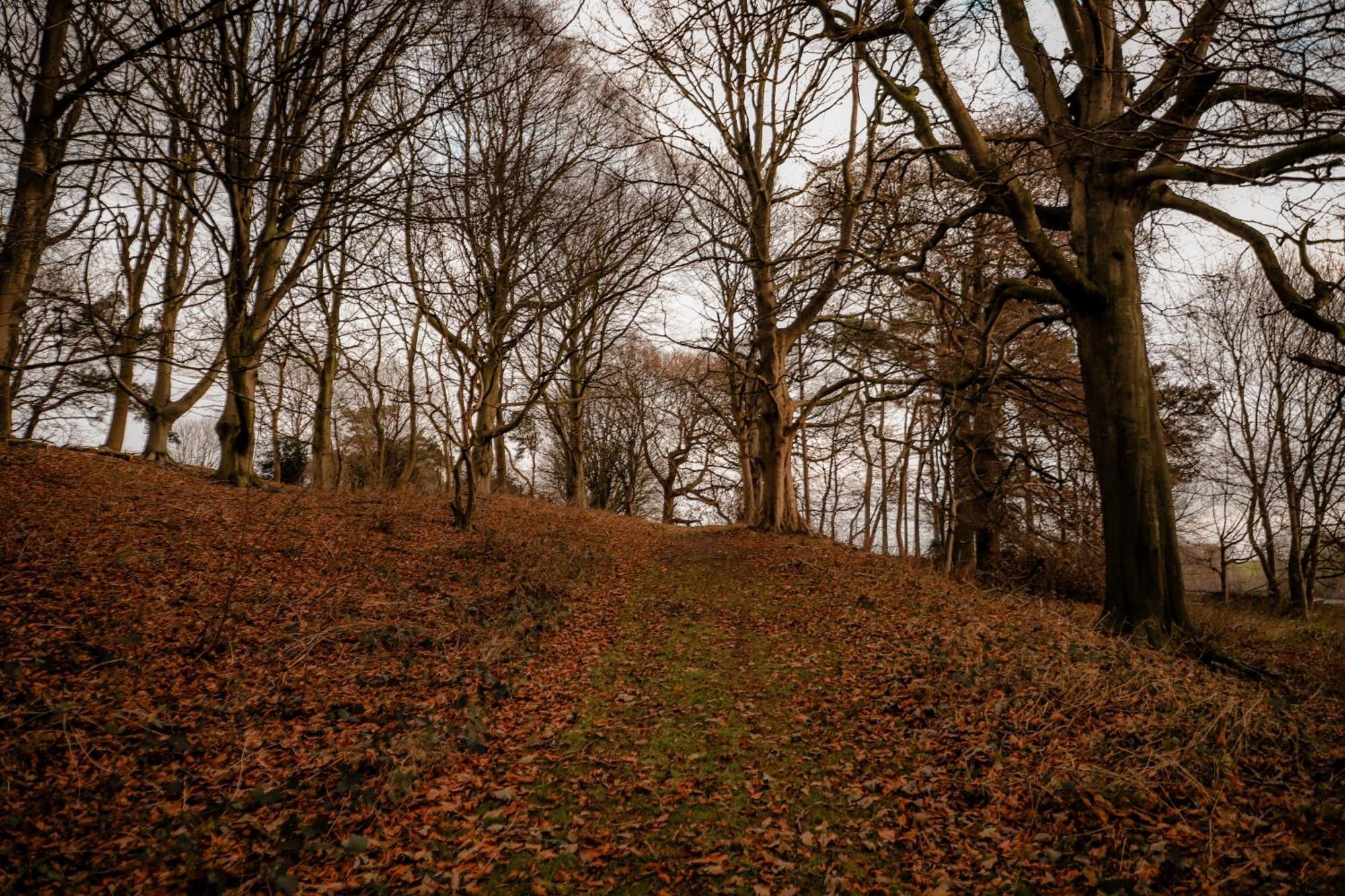 Gallows Hill Scarborough