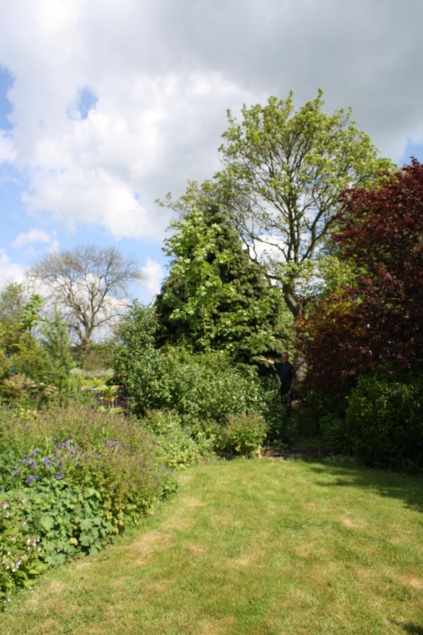 Bed & Breakfast Foxholm 4*
