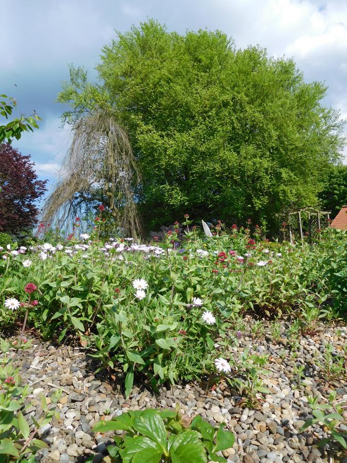 Bed & Breakfast Foxholm