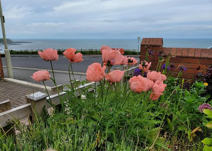Seaview Ground Floor Flat Fast Wifi & Free Parking