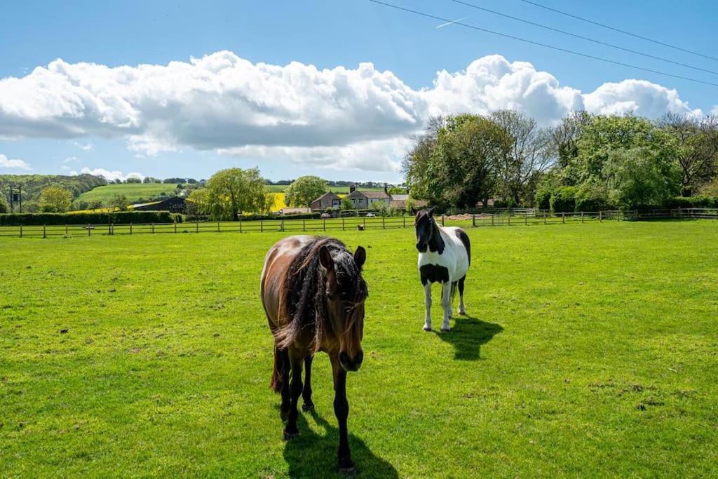 Holiday home Willerby Grange