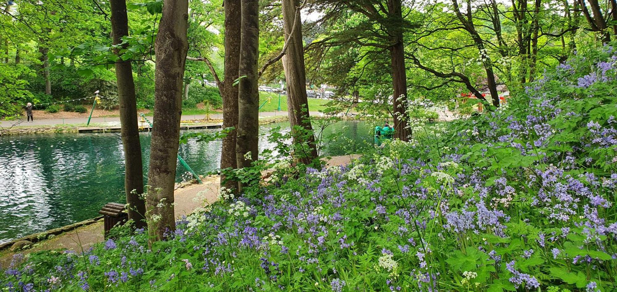 St Michael's Boutique B&b, North Bay, Scarborough, North Yorkshire, With Free Parking And Free Wi-fi Guest house