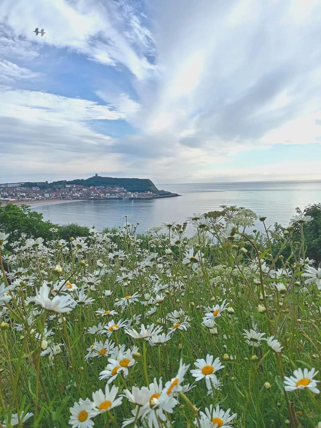 St Michael's Boutique B&b, North Bay, Scarborough, North Yorkshire, With Free Parking And Free Wi-fi Guest house