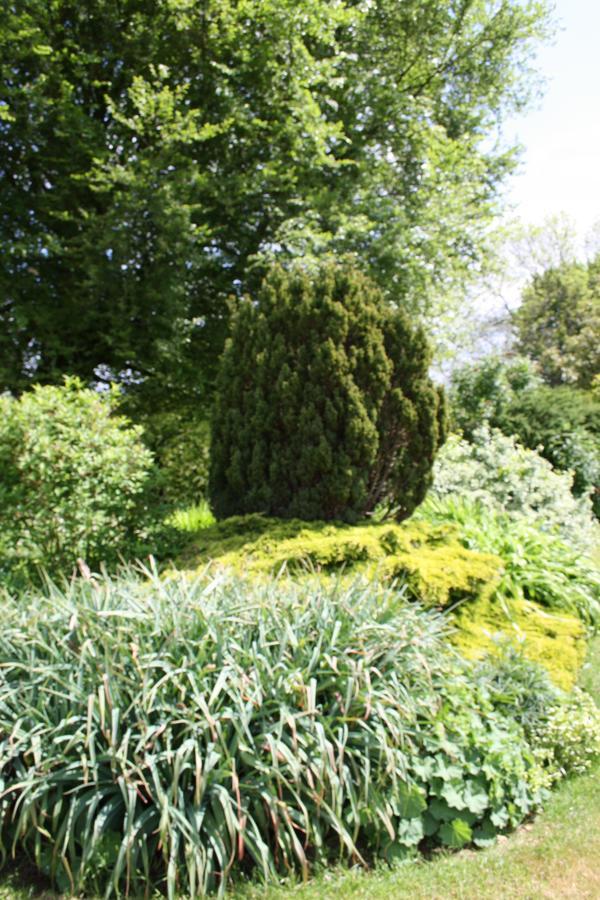 Bed & Breakfast Foxholm 4*