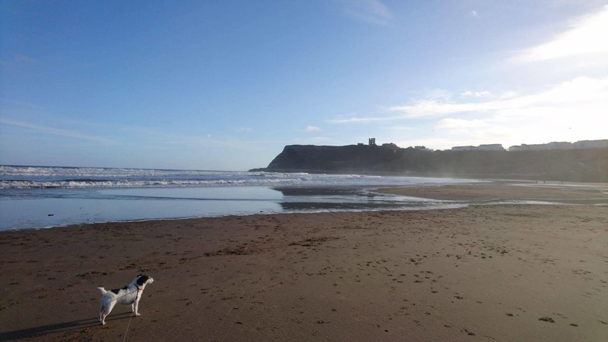 The Beaches Bed & Breakfast Scarborough