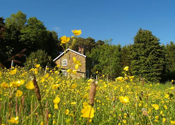 Plantation Cottage