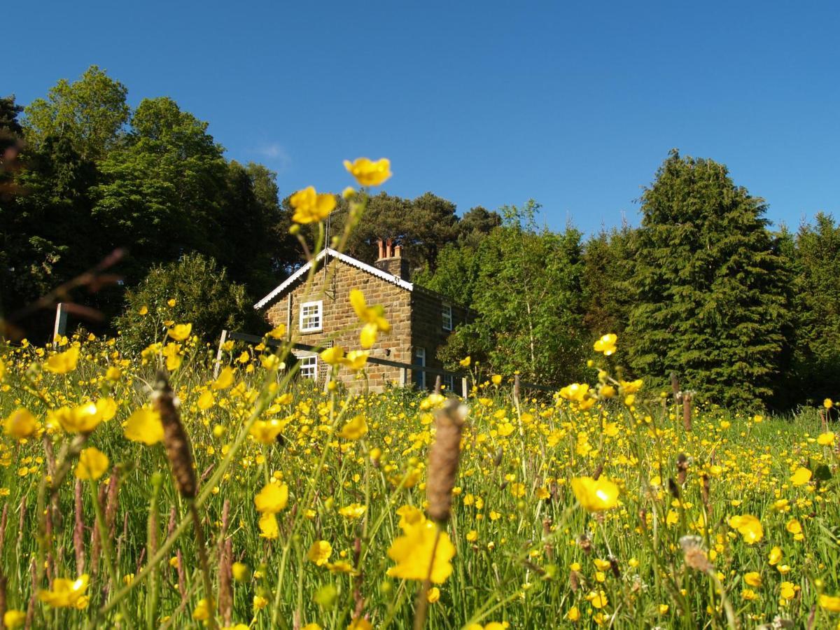 Holiday home Plantation
