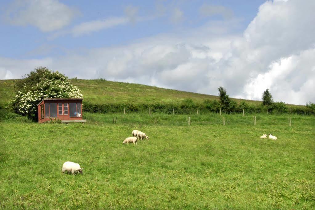 Wrea Head Country Cottages Holiday home
