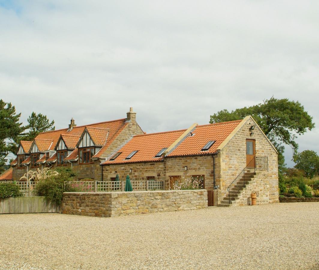 Badger Holiday home *