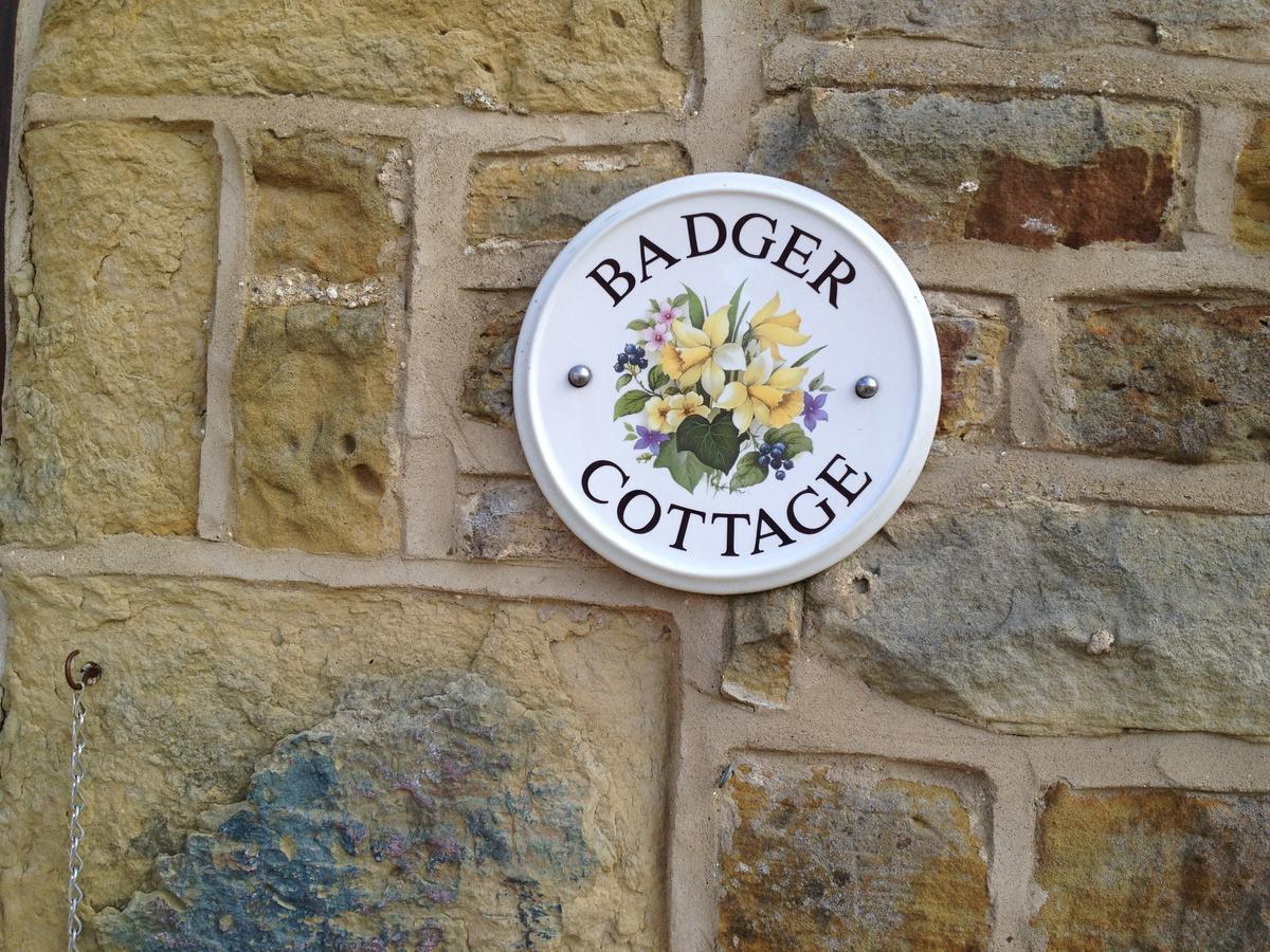 Badger Scarborough