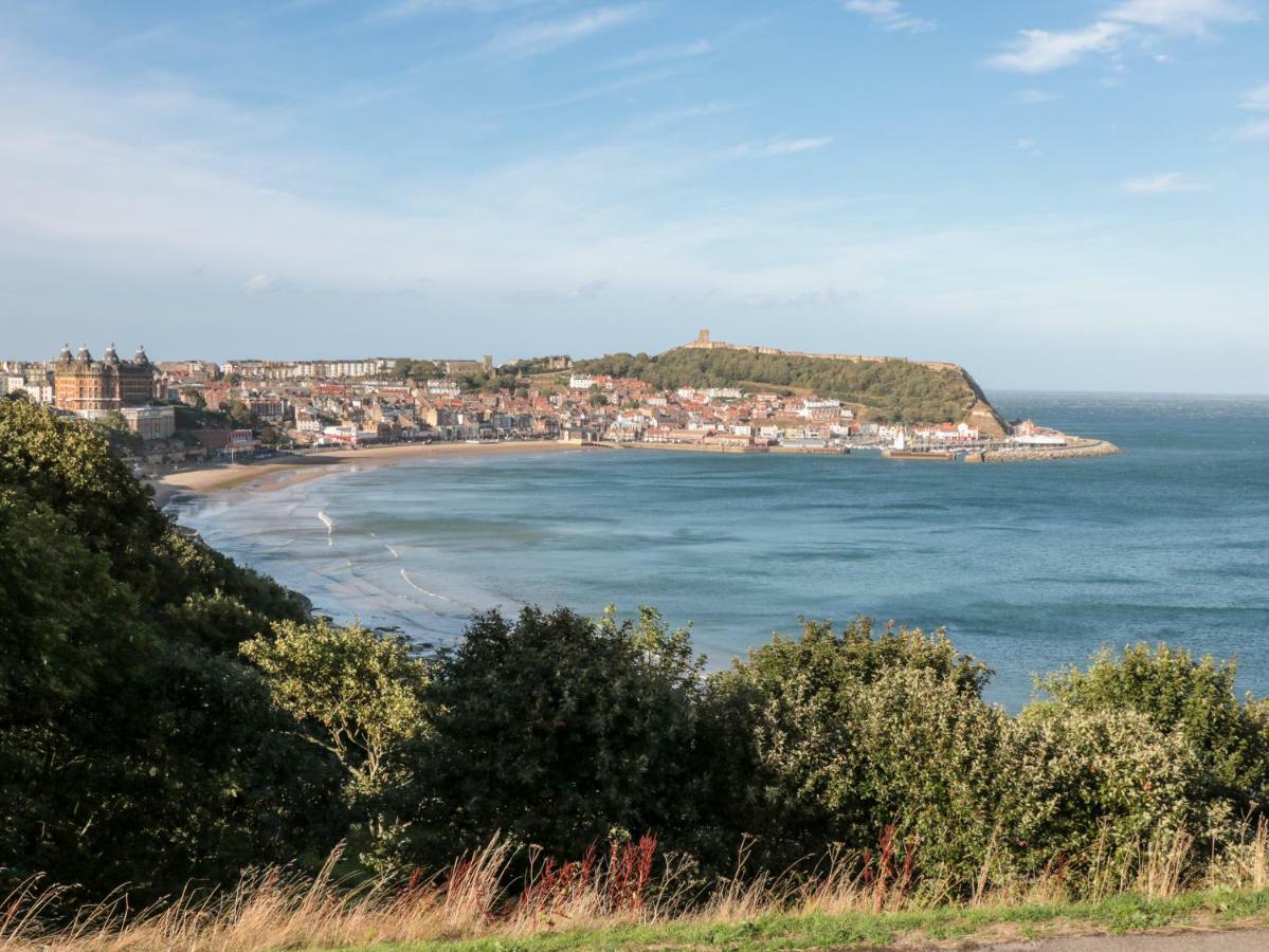 Bettys Plaice Holiday home *